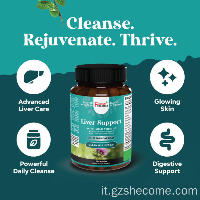 Capsule di disintossicazione del fegato Supporto antiossidante Supplemento epatico